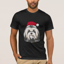 Havanese Terrier Pet Dog Big