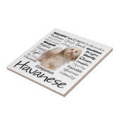 Havanese Traits Ceramic Tile Tegeltje (Zijkant)