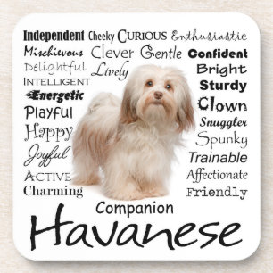 Havanese Traits Onderzetters