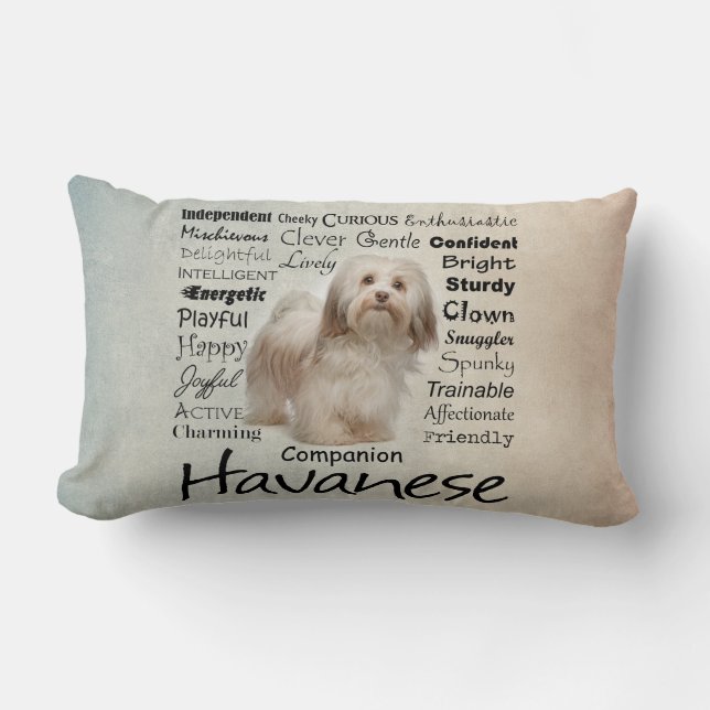 Havanese Traits Pillow Kussen (Voorkant)