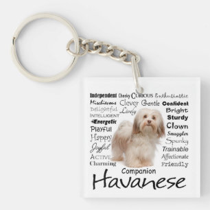 Havanese Traits Sleutelhanger
