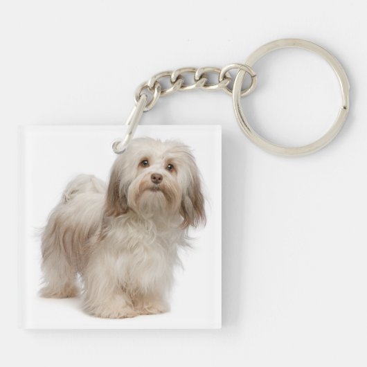 Havanese Traits Sleutelhanger (Achterkant)