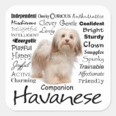 Havanese Traits Stickers (Voorkant)