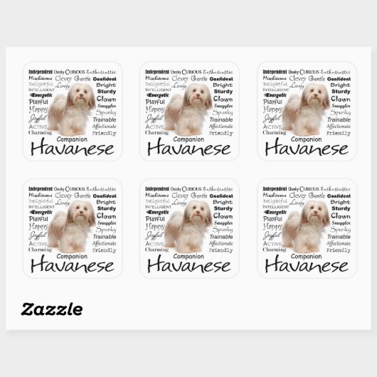 Havanese Traits Stickers (Vel)