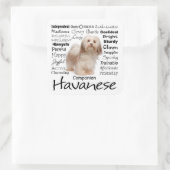 Havanese Traits Stickers (Tas)