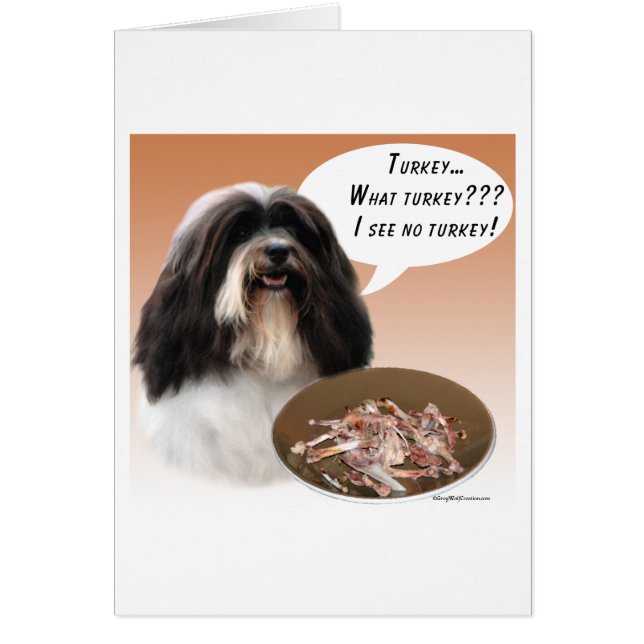 Havanese Turkije (Voorkant)