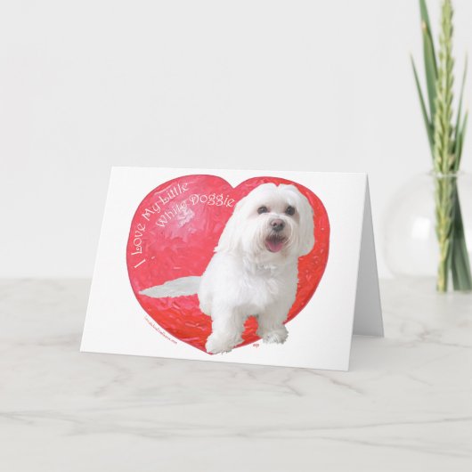 Havanese Valentijnsdag Feestdagen Kaart (Voorkant)