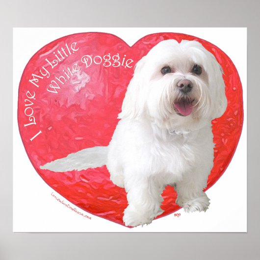 Havanese Valentijnsdag Poster (Voorkant)