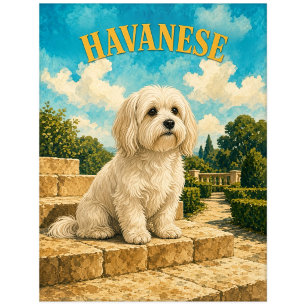 Havanese, Vintage Watercolor Honden Kunst Briefkaart