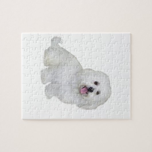 Havanese (wit) legpuzzel (Horizontaal)