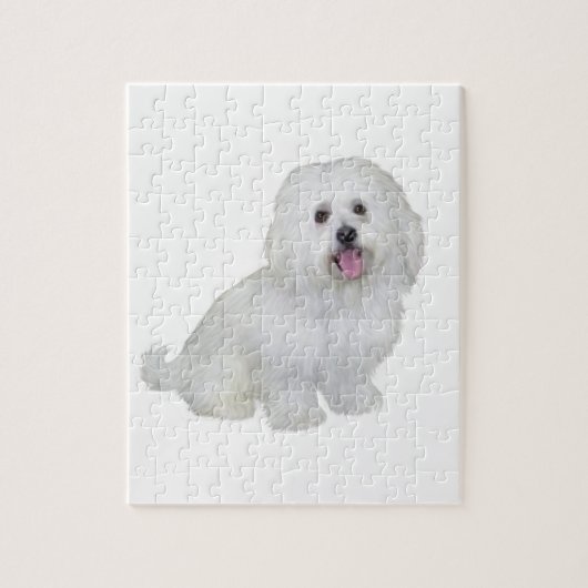 Havanese (wit) legpuzzel (Verticaal)