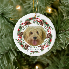 Havaneshond Gepersonaliseerd Ornament voor huisdie