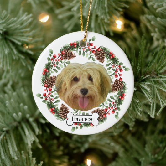 Havaneshond Gepersonaliseerd Ornament voor huisdie (Boom)