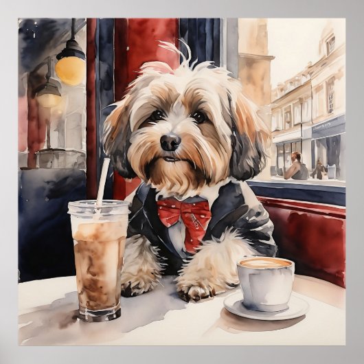 Havanezer Drink milkshake in coffeeshop Poster (Voorkant)