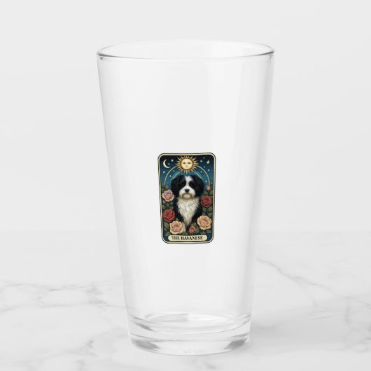 Havanezer Glas (Voorkant)