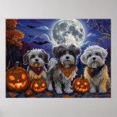 Havanezer Halloween Spooky Poster (Voorkant)