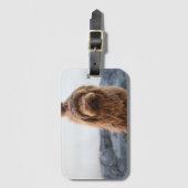 Havanezer hond, Dier, Hond Bagagelabel (Voorkant (verticaal))