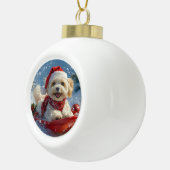 Havanezer Hond in Sledge Laat het Sneeuw Kerstmis Keramische Bal Ornament (Rechts)