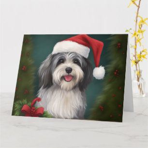 Havanezer Hond in Sneeuw Kerstmis Kaart