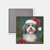 Havanezer Hond in Sneeuw Kerstmis Magneet (Voorkant / Achterkant)