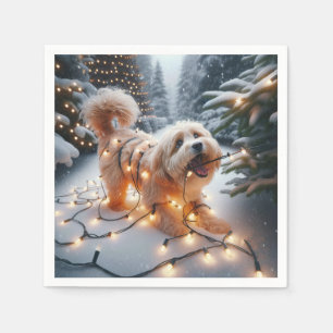 Havanezer hond in verwarde kerstverlichting servet