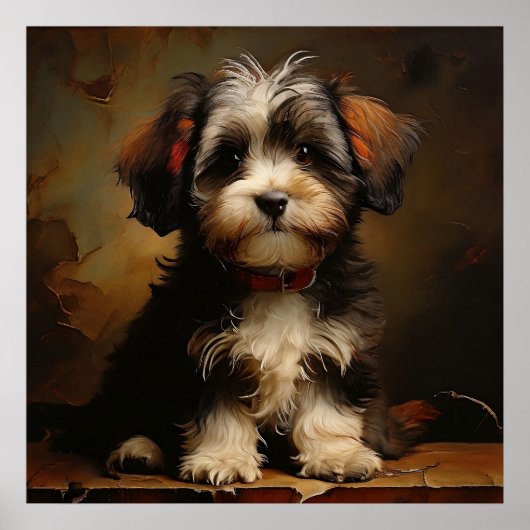 Havanezer hond Puppy Realisme Vierkant Portret Poster (Voorkant)