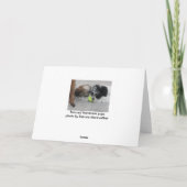 Havanezer Puppies Happy Birthday Kaart (Achterkant)