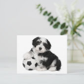 Havanezer Puppy Dog Briefkaart (Staand voorkant)
