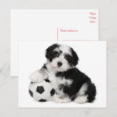 Havanezer Puppy Dog Briefkaart (Voorkant / Achterkant)