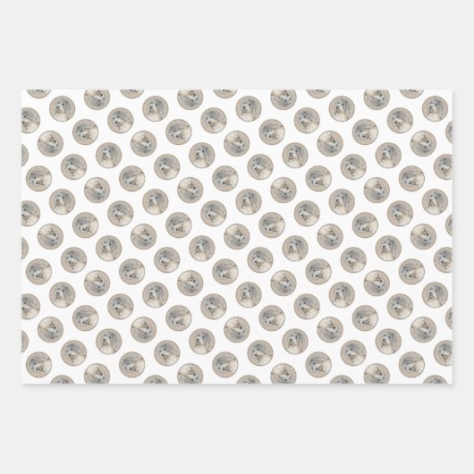 Havanezer Puppy, Havanezer, Cubaanse Bichon, Bicho Inpakpapier Vel (Voorkant 2)