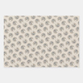 Havanezer Puppy, Havanezer, Cubaanse Bichon, Bicho Inpakpapier Vel (Voorkant)