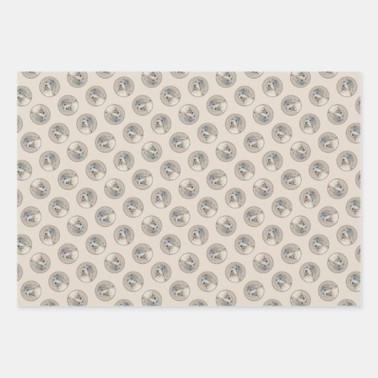 Havanezer Puppy, Havanezer, Cubaanse Bichon, Bicho Inpakpapier Vel (Voorkant)