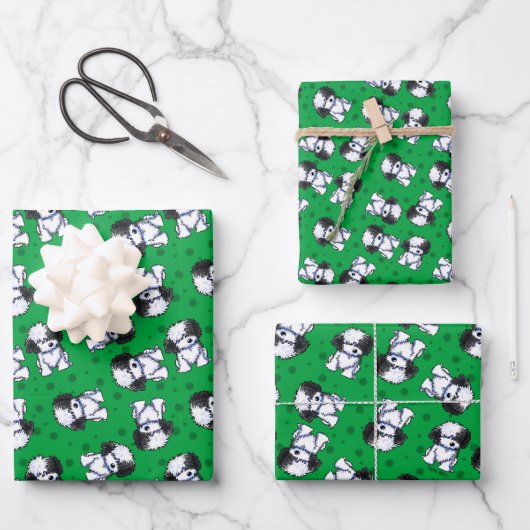 Havanezer Wrapping Paper Set van 3 vellen (Voorkant)