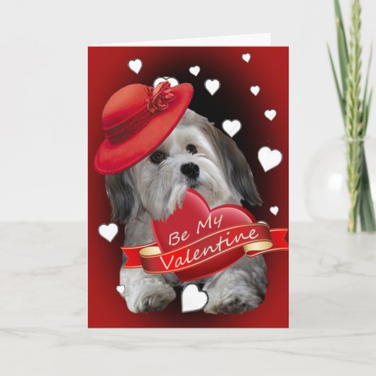 Havanezer zijn mijn Valentijn Kaarten (Voorkant)