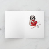 Havanezer zijn mijn Valentijn Kaarten (Binnen)