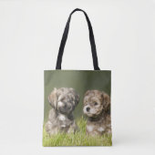 Havanse Puppies Tote Bag (Voorkant)