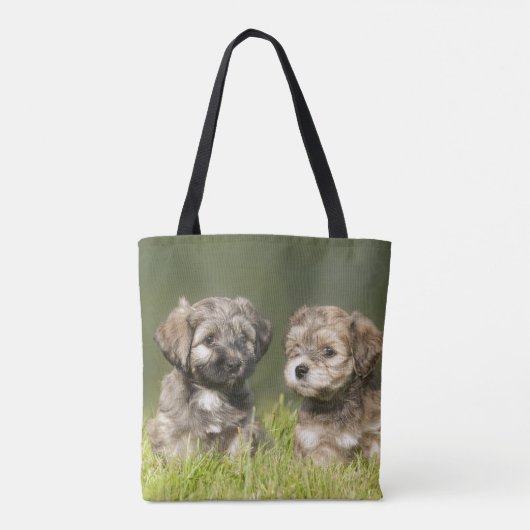 Havanse Puppies Tote Bag (Achterkant)