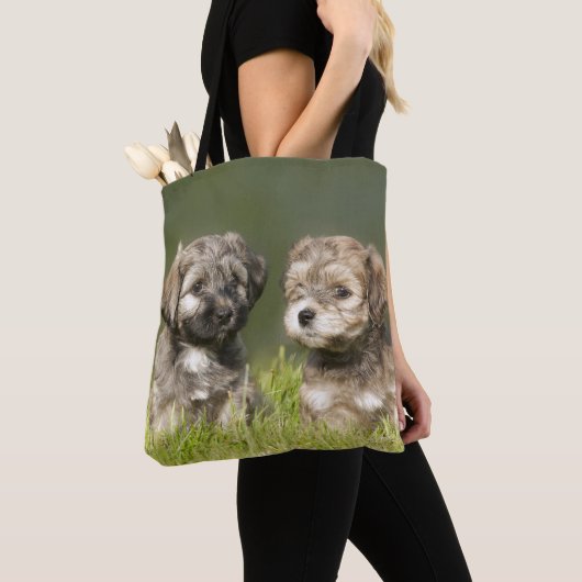 Havanse Puppies Tote Bag (Dichtbij)