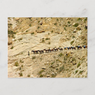Havasu Canyon Pack Train Briefkaart