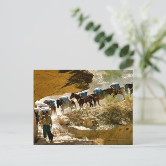Havasu Canyon Pack Train Briefkaart (Staand voorkant)