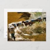 Havasu Canyon Pack Train Briefkaart (Voorkant / Achterkant)