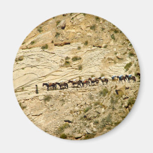 Havasu Canyon Pack Train Magneet