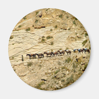 Havasu Canyon Pack Trein Magneet