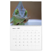 Have A Smile All Year Calendar 2023 Kalender (Mar 2027)