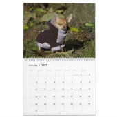 Have A Smile All Year Calendar 2023 Kalender (Jan 2027)