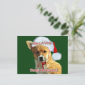Have a Very Corgi Christmas-Mercy Feestdagenkaart (Staand voorkant)
