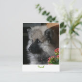 Havel Arrives in America Briefkaart (Staand voorkant)