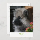 Havel Arrives in America Briefkaart (Voorkant / Achterkant)