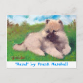 Havel by Frank Marshall Postcard Briefkaart (Voorkant)
