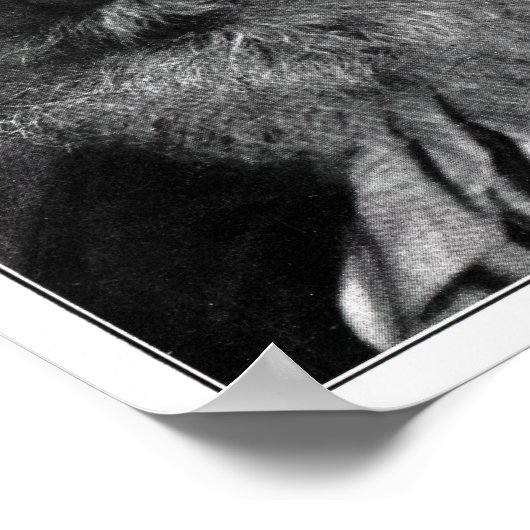 Havelock Ellis Poster (Hoek)